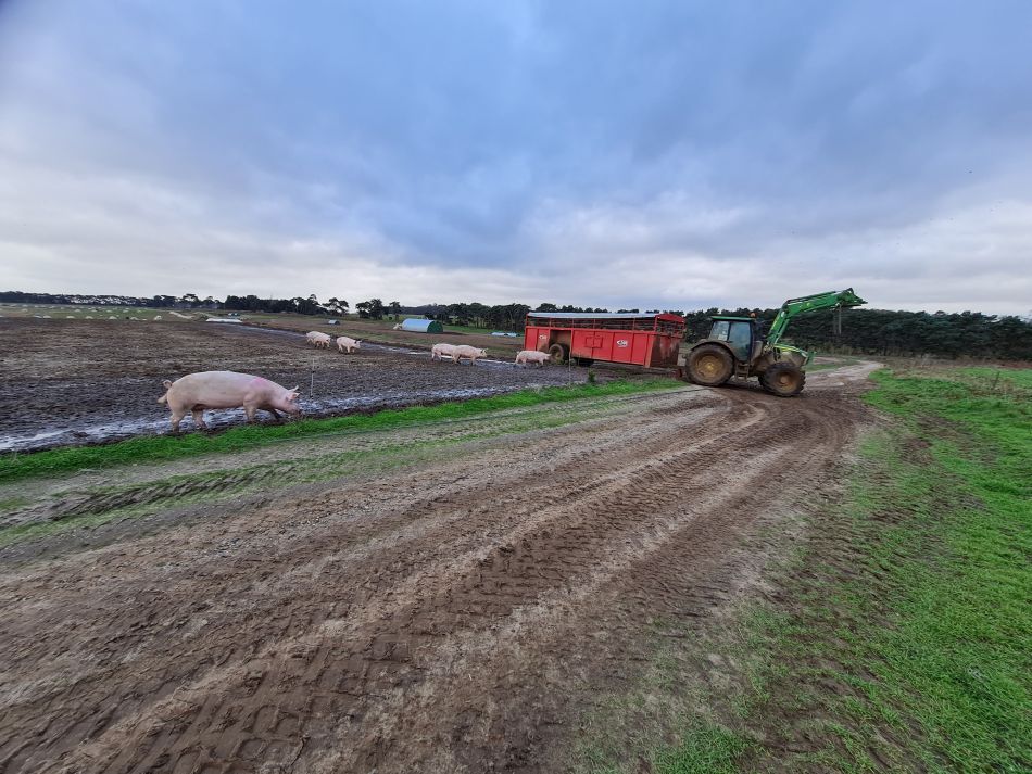 2020-09-19 20 Ramsholt and Alderton.jpg