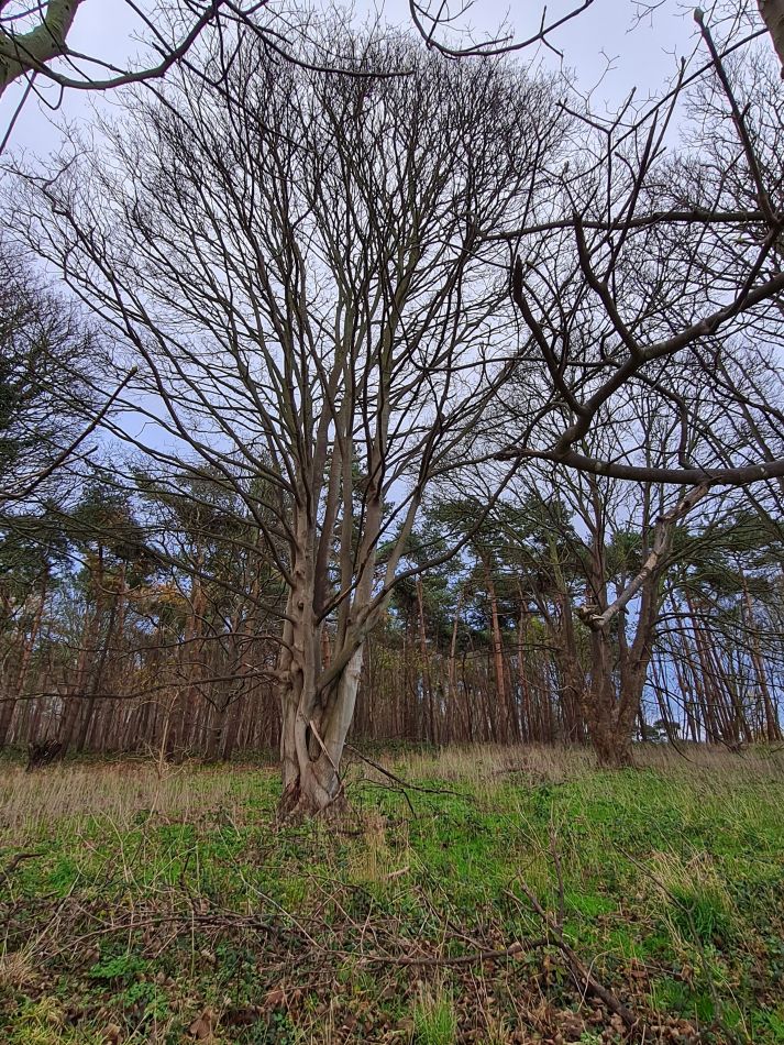 2020-09-19 22 Ramsholt and Alderton.jpg