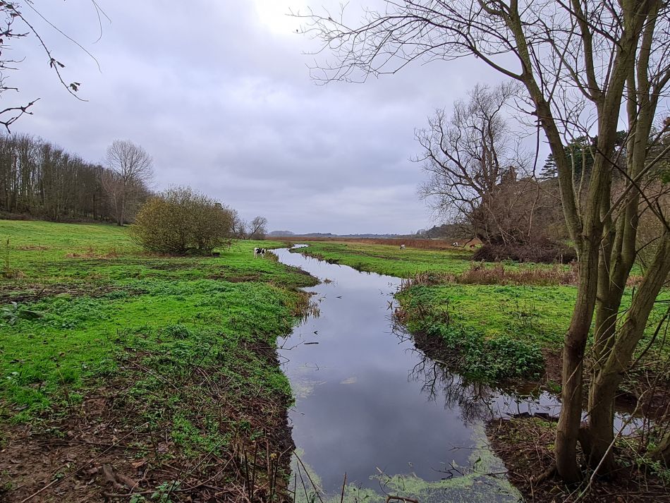 2020-09-19 23 Ramsholt and Alderton.jpg