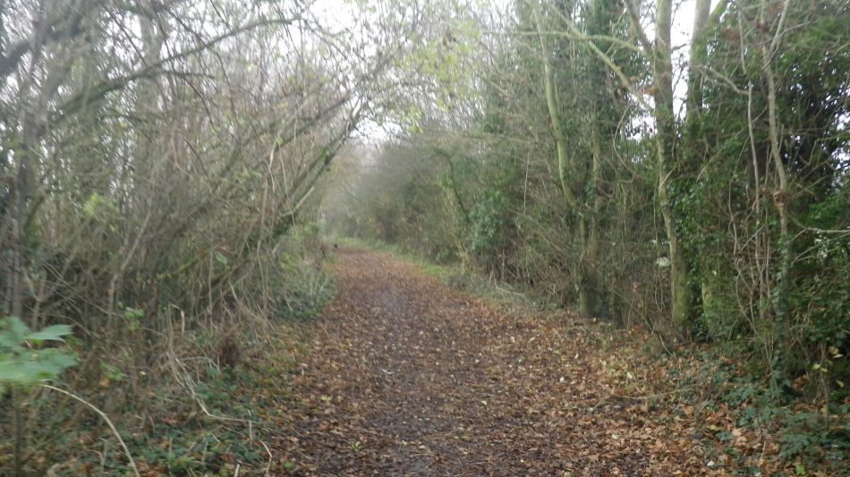 2016-12-07 09 Reydon Christmas Lunch.jpg