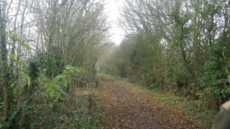 2016-12-07 10 Reydon Christmas Lunch.jpg