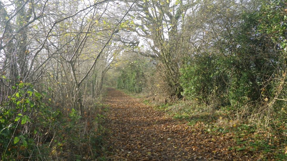 2016-12-07 13 Reydon Christmas Lunch.jpg