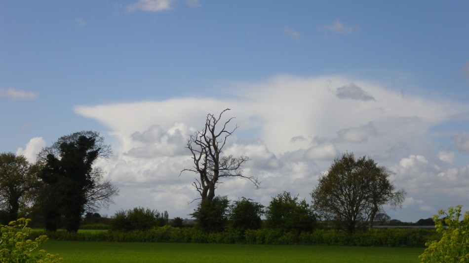 2017-04-26 01 Reydon Area.jpg