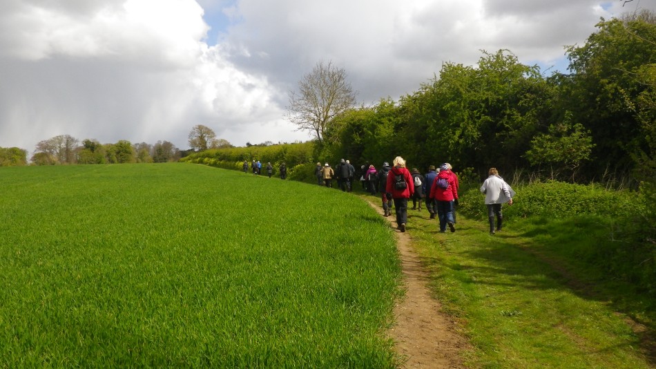 2017-04-26 09 Reydon Area.jpg