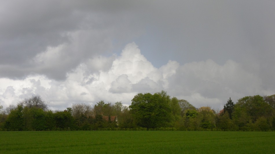 2017-04-26 12 Reydon Area.jpg