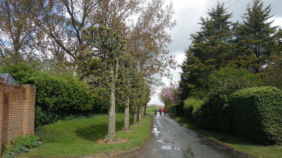 2017-04-26 14 Reydon Area.jpg