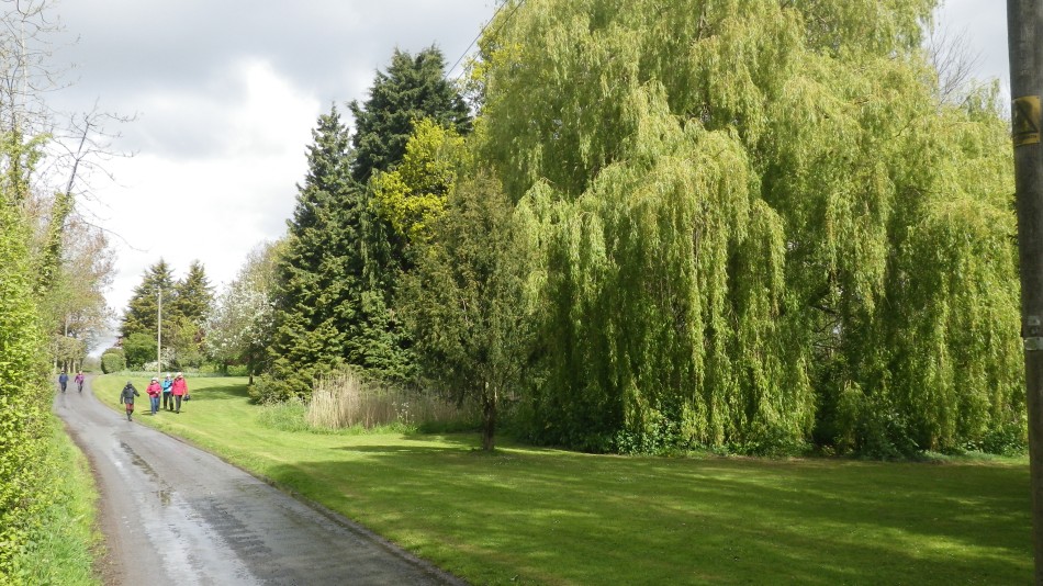 2017-04-26 15 Reydon Area.jpg