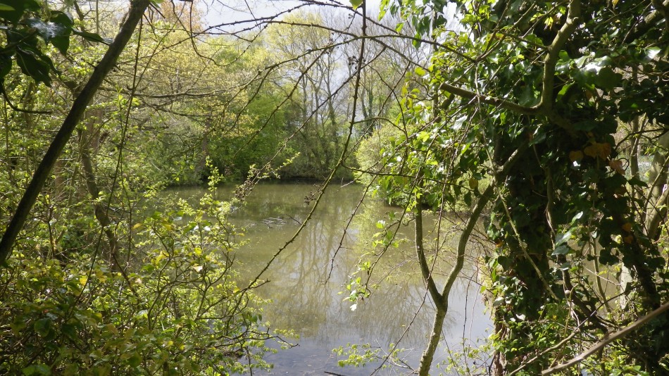 2017-04-26 16 Reydon Area.jpg