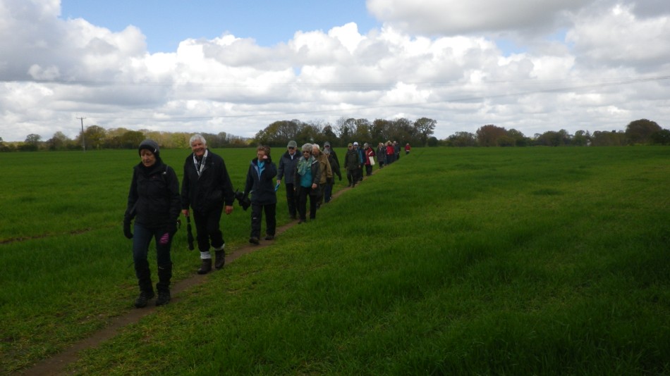 2017-04-26 28 Reydon Area.jpg