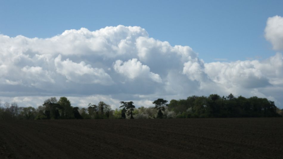 2018-04-25 04 Reydon.jpg