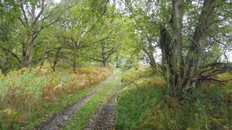 2019-11-07 03 Waveney Way 17 - Reydon and Wrentham.jpg