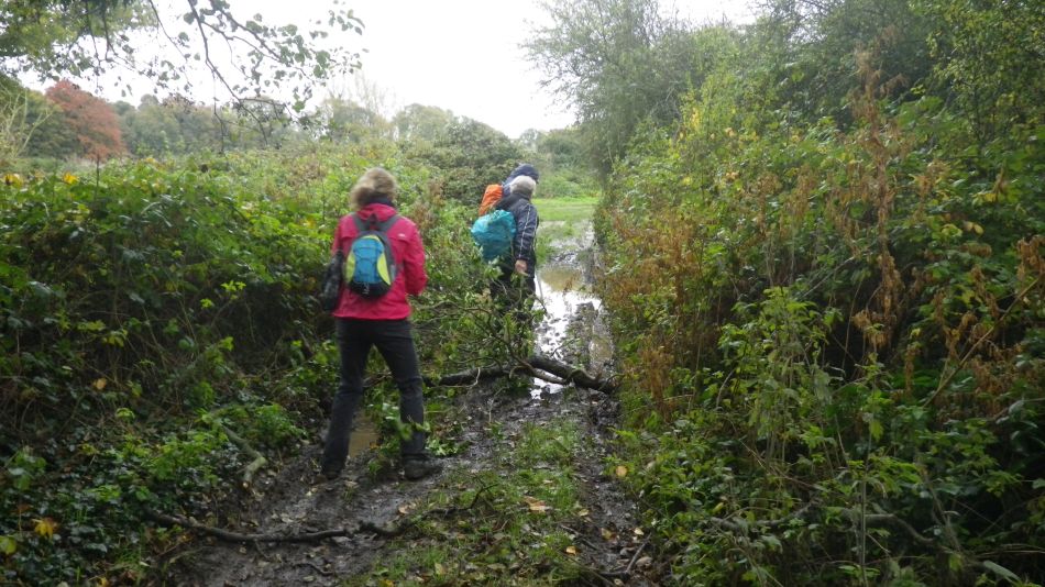 2019-11-07 07 Waveney Way 17 - Reydon and Wrentham.jpg