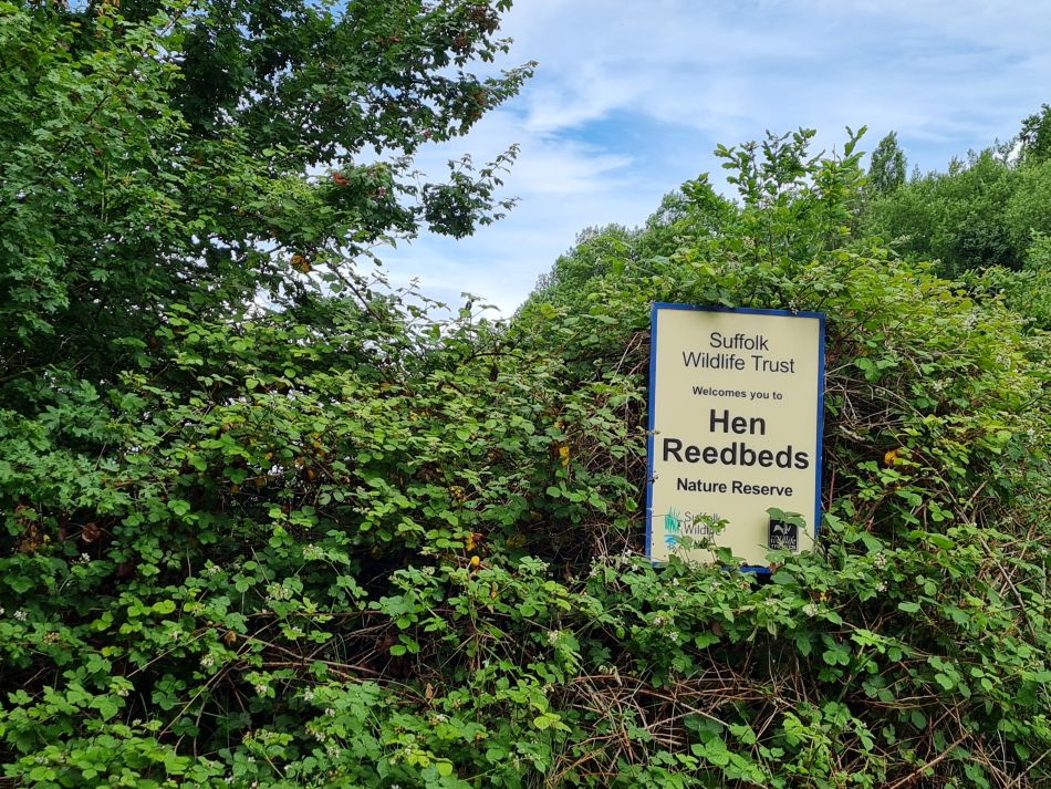 2022-06-08 09 Reydon.jpg