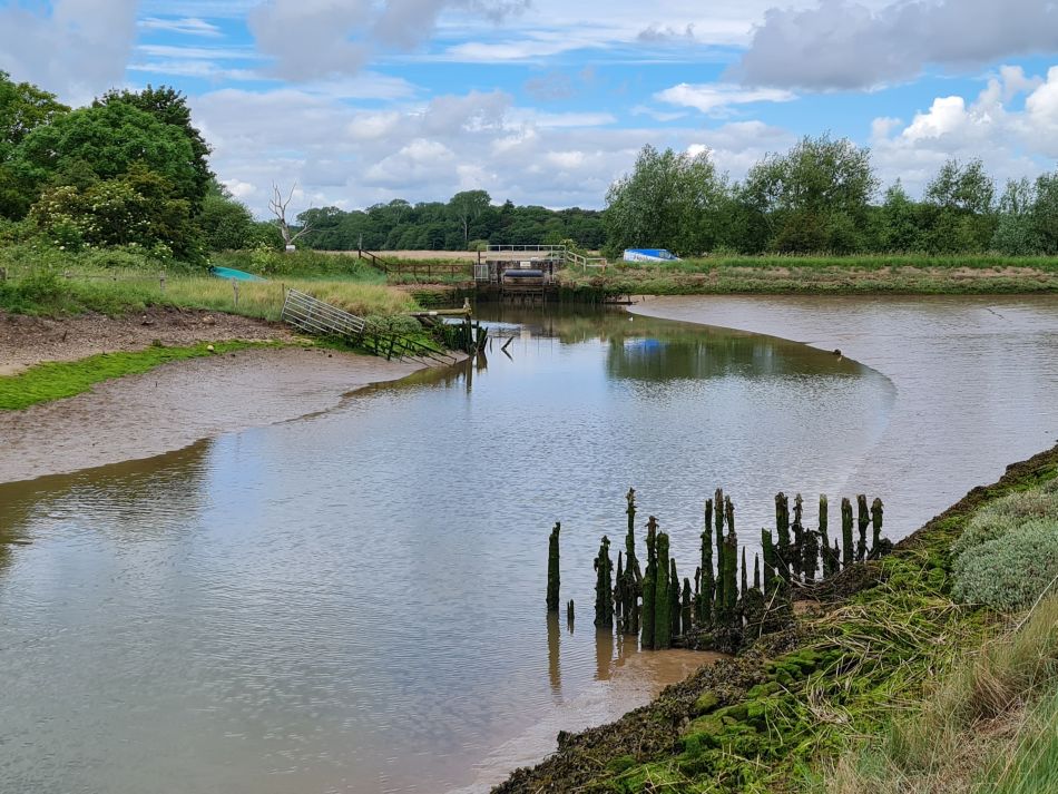 2022-06-08 12 Reydon.jpg