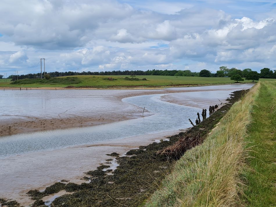 2022-06-08 14 Reydon.jpg