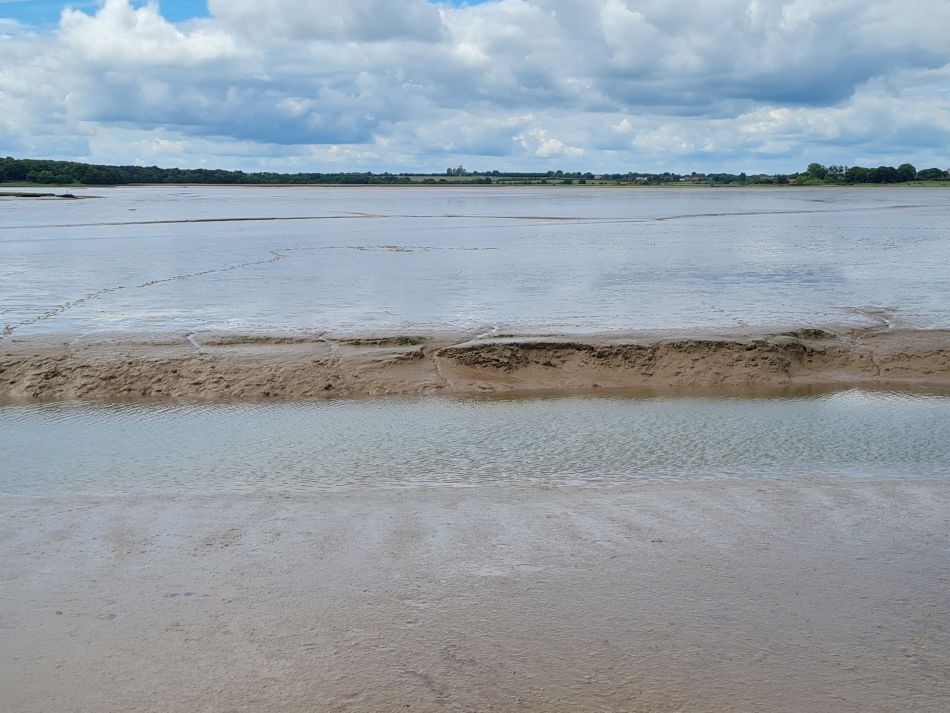 2022-06-08 15 Reydon.jpg