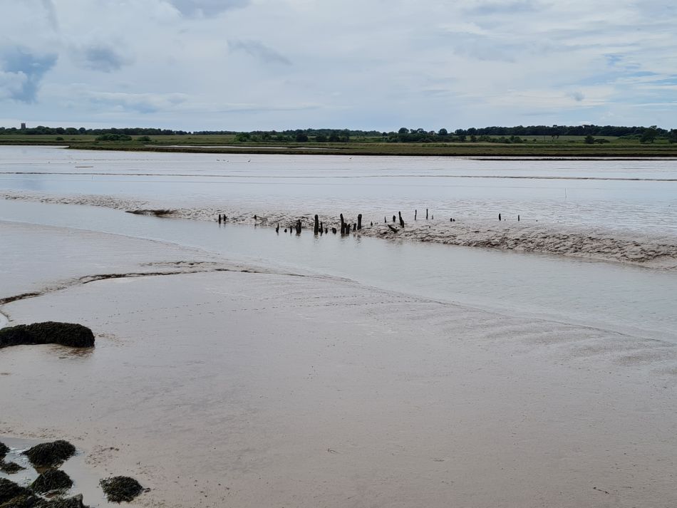 2022-06-08 16 Reydon.jpg