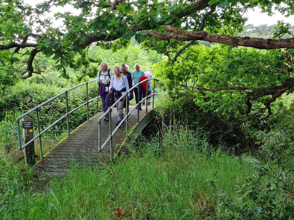 2022-06-08 19 Reydon.jpg