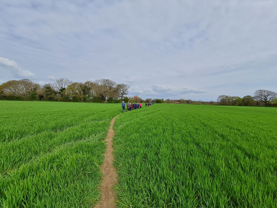 2023-04-26 06 Reydon Bluebells.jpg