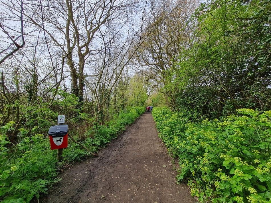 2023-04-26 07 Reydon Bluebells.jpg