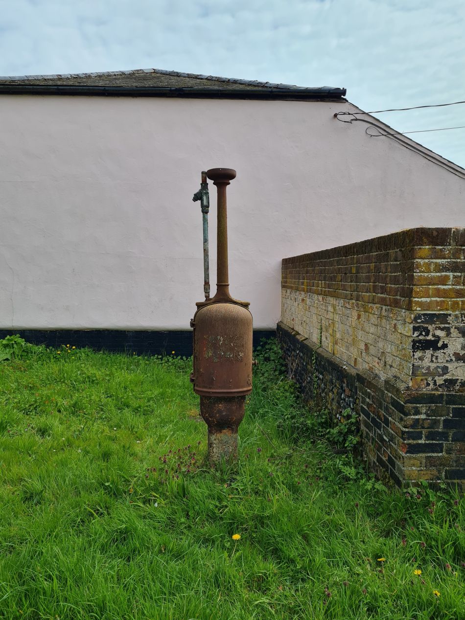 2023-04-26 15 Reydon Bluebells.jpg