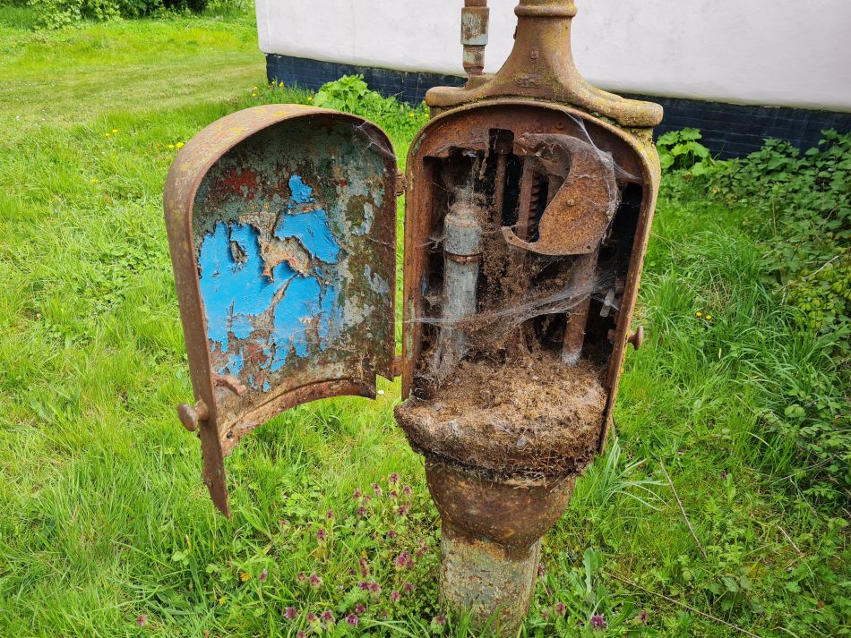 2023-04-26 16 Reydon Bluebells.jpg