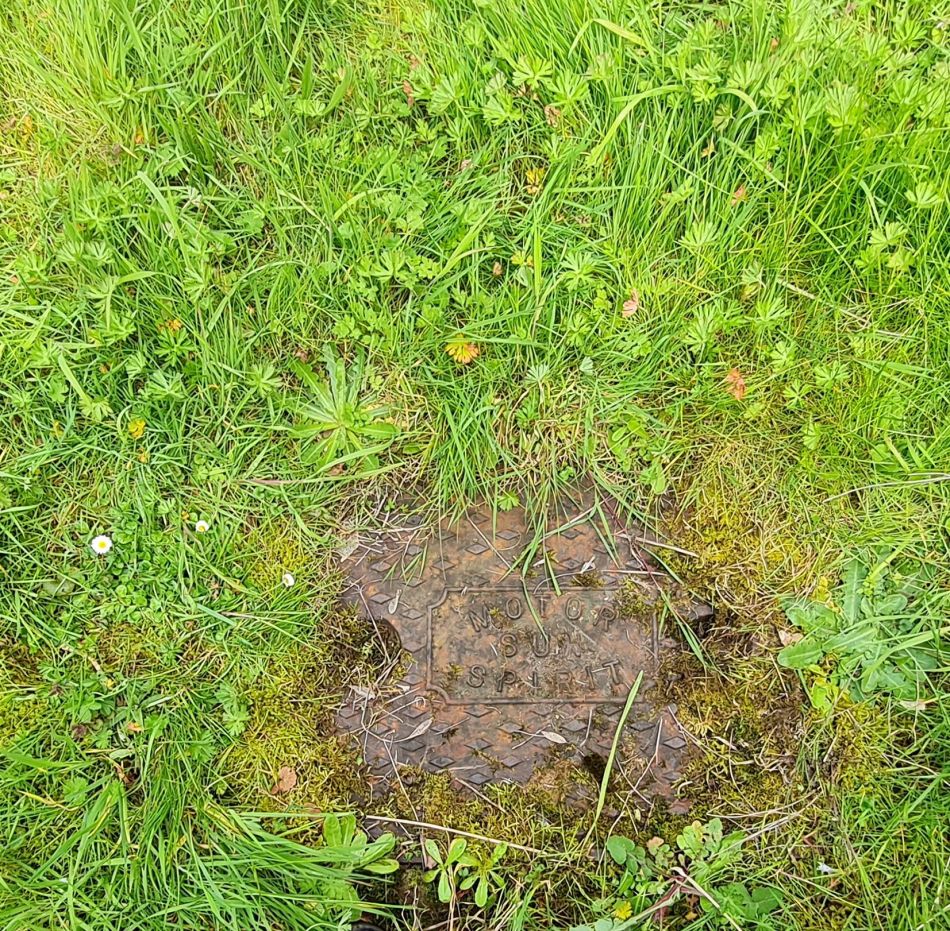 2023-04-26 17 Reydon Bluebells.jpg