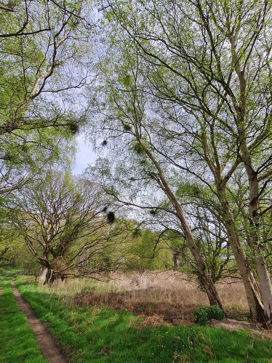 2024-04-13 02 Reydon and Wrentham.jpg