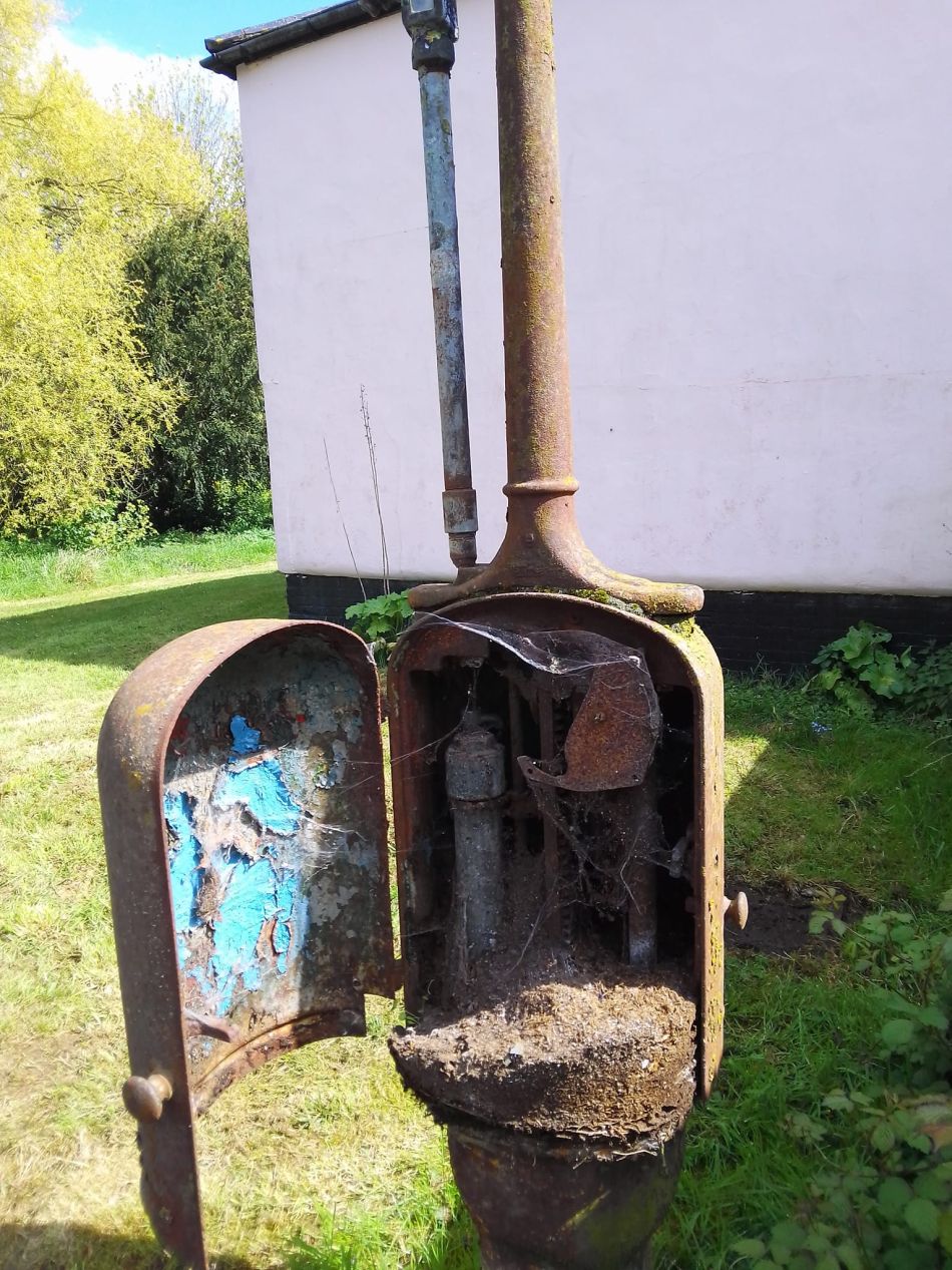 2024-04-24 03 Reydon Bluebells.jpg