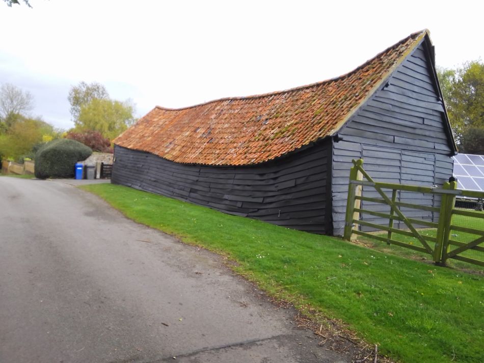 2024-04-24 08 Reydon Bluebells.jpg