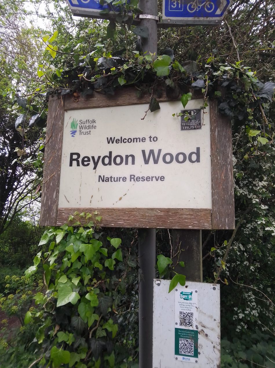 2024-04-24 10 Reydon Bluebells.jpg