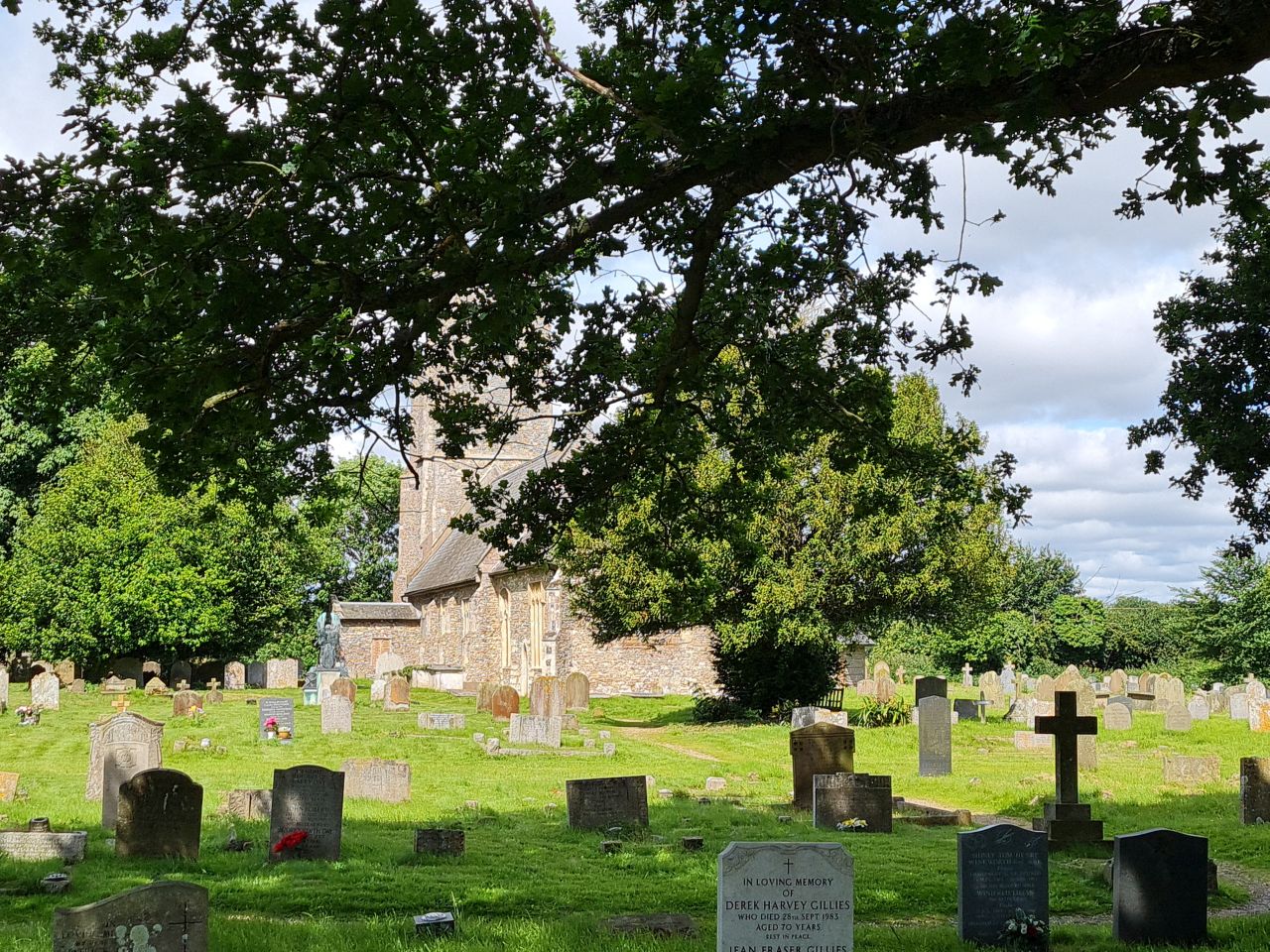 2024-06-19 01 Hen Reed Beds.jpg
