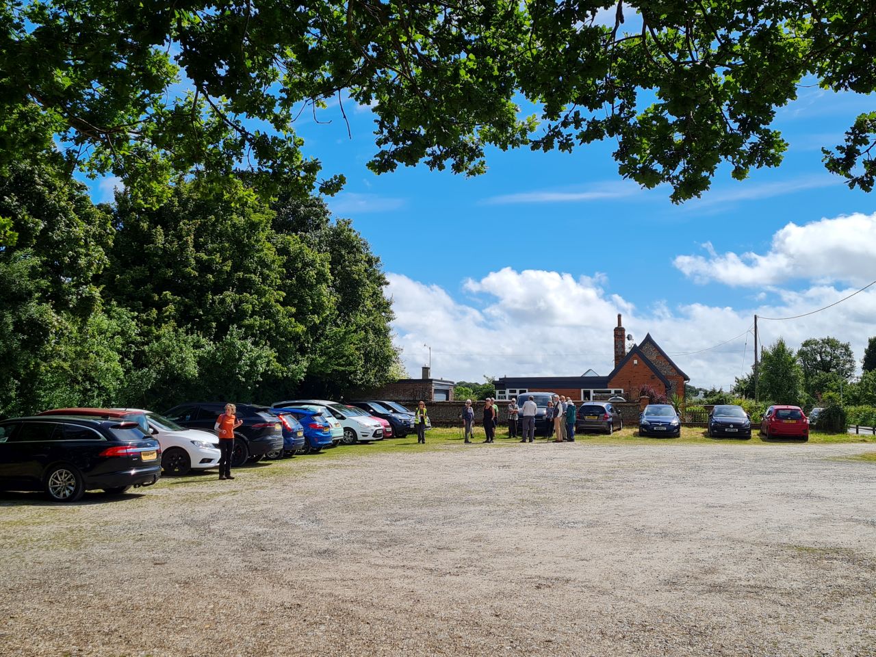 2024-06-19 02 Hen Reed Beds.jpg