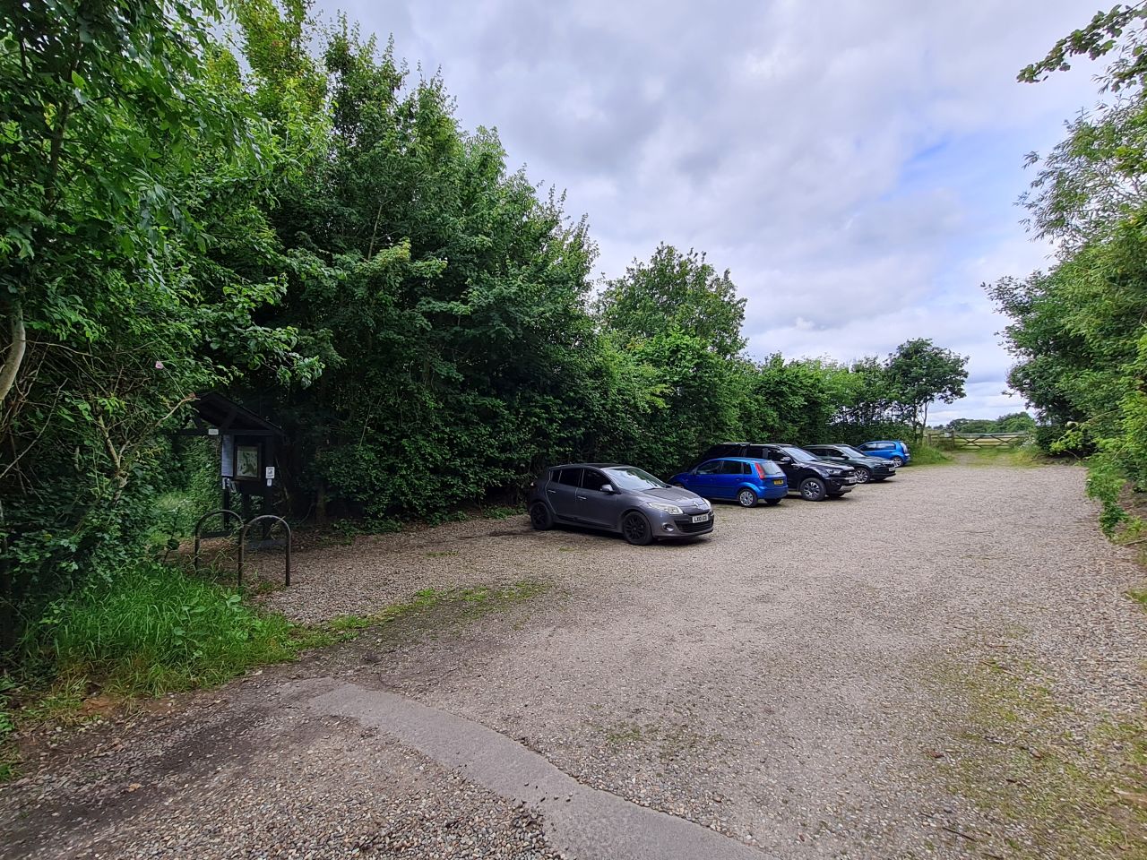 2024-06-19 04 Hen Reed Beds.jpg