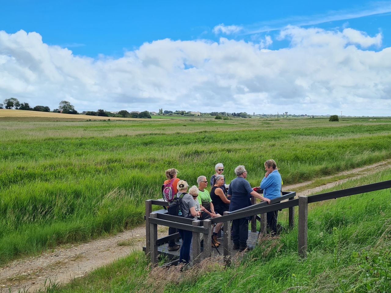 2024-06-19 09 Hen Reed Beds.jpg