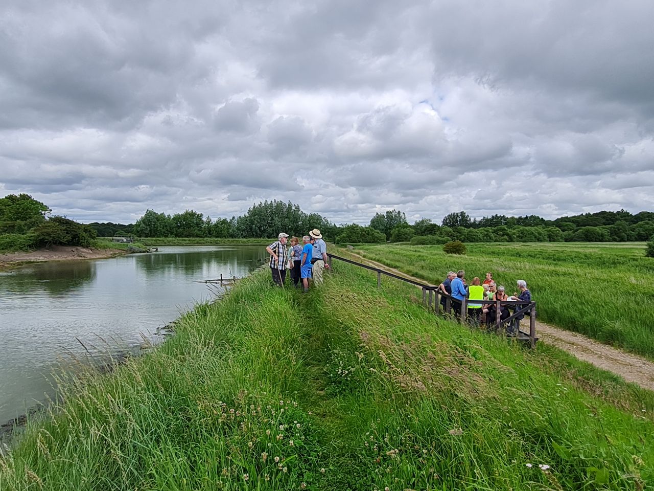 2024-06-19 11 Hen Reed Beds.jpg