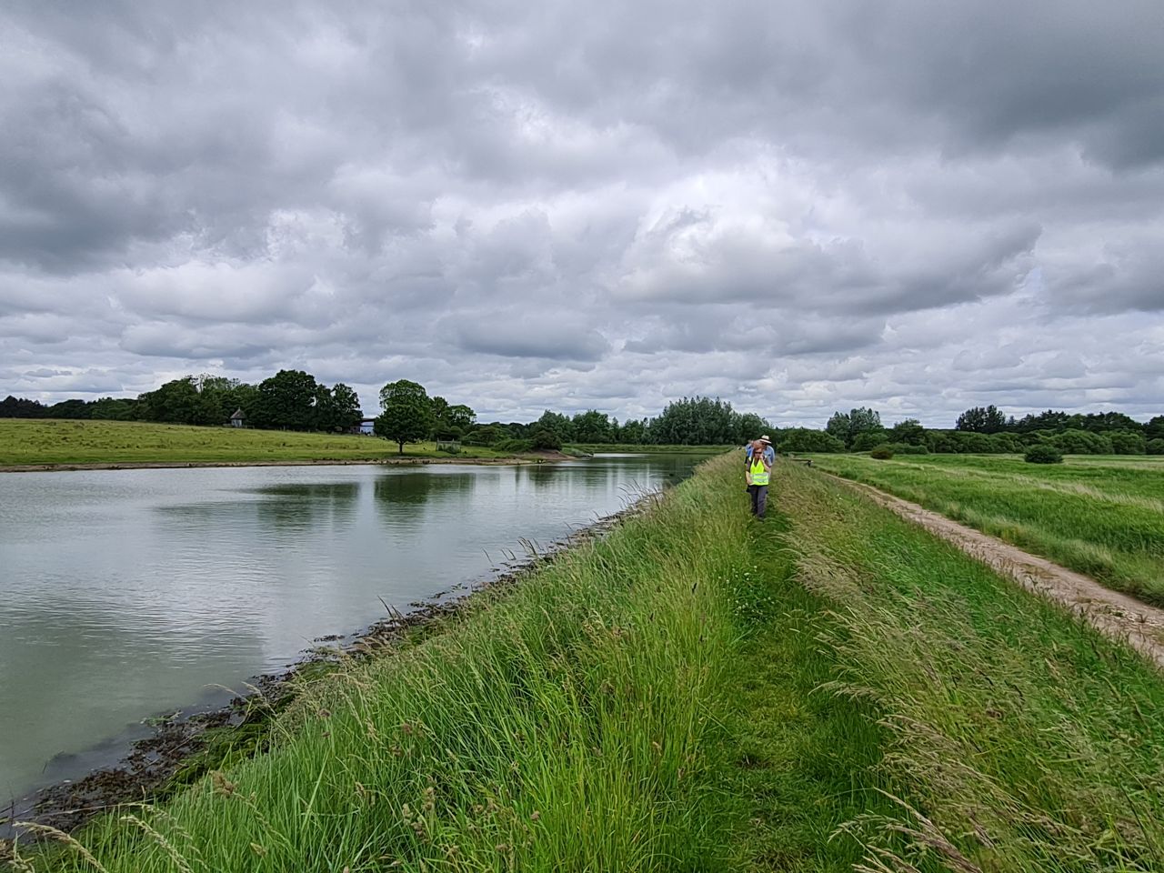2024-06-19 12 Hen Reed Beds.jpg