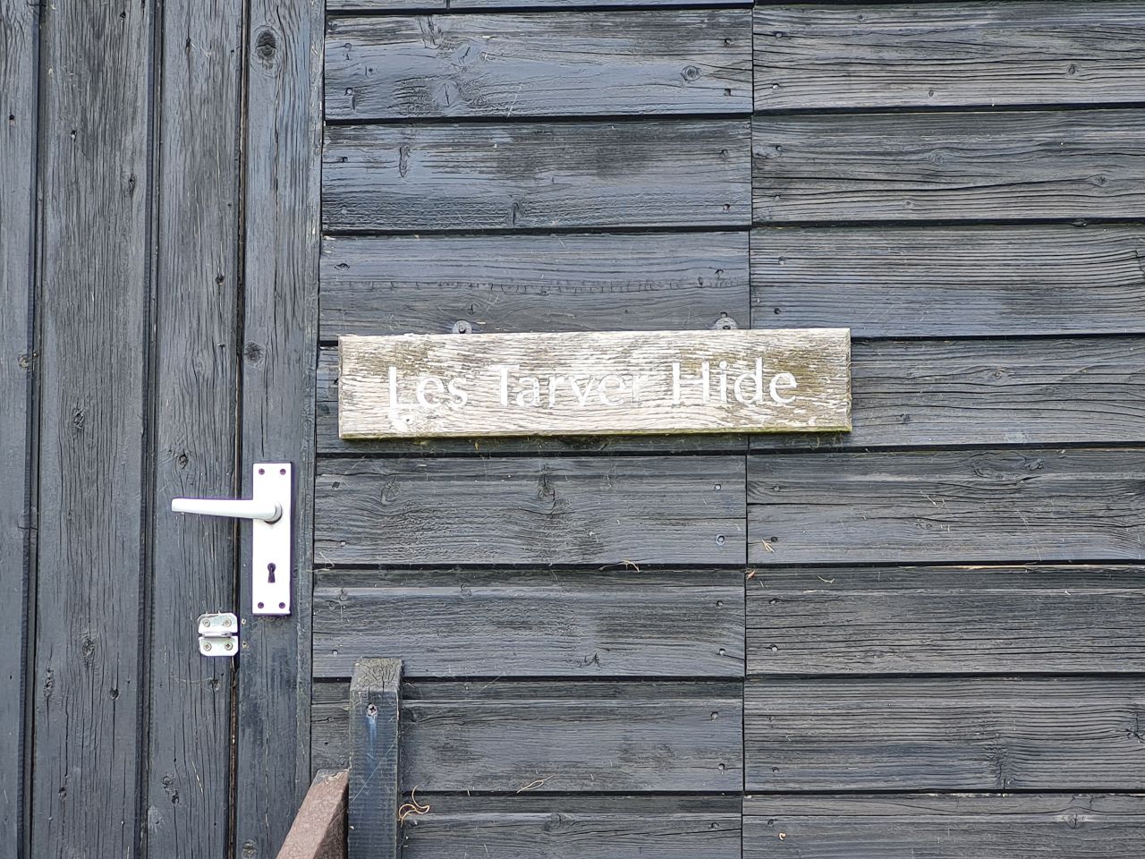 2024-06-19 13 Hen Reed Beds.jpg