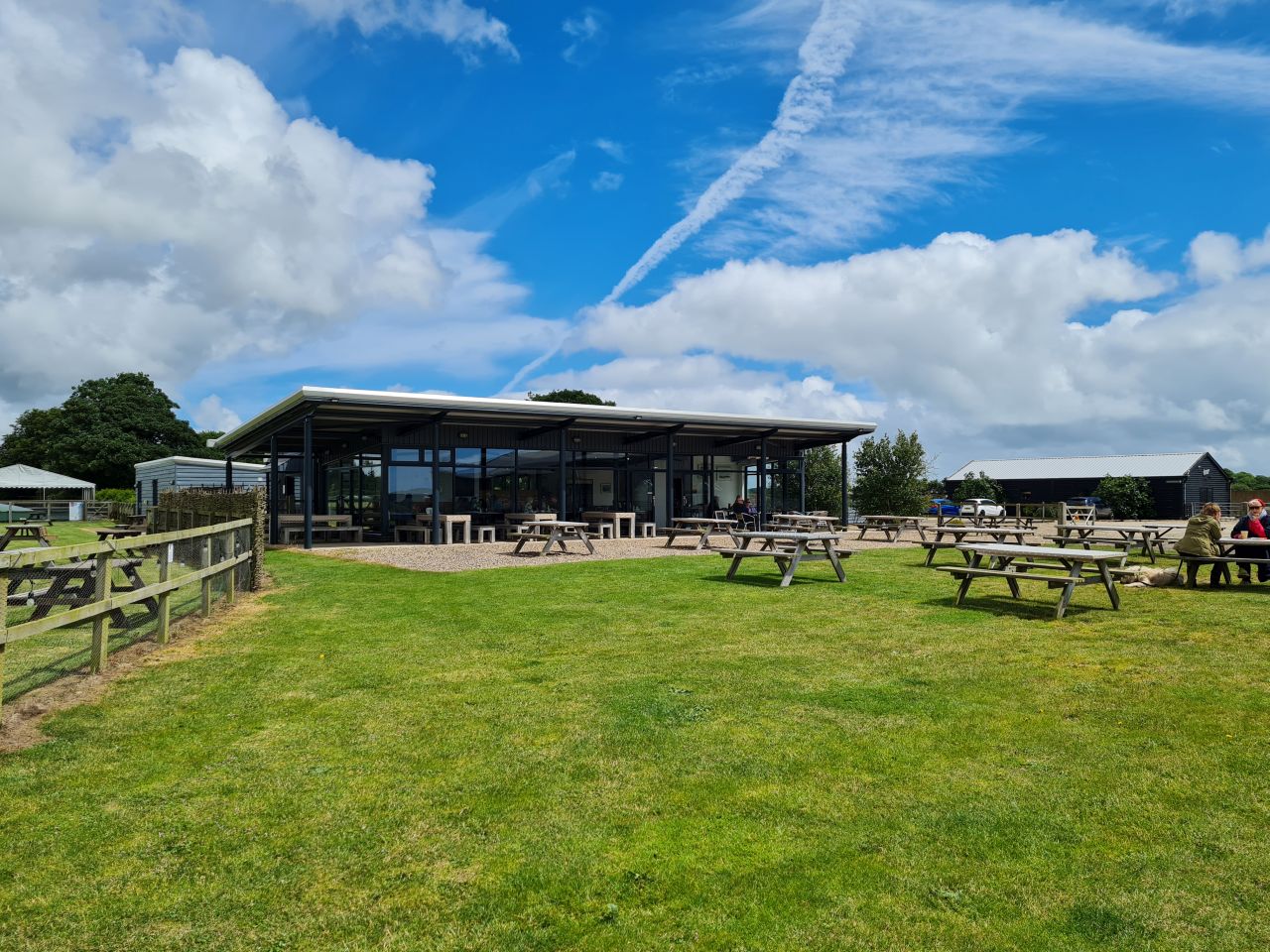 2024-06-19 15 Hen Reed Beds.jpg
