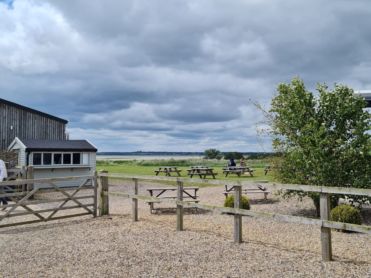 2024-06-19 19 Hen Reed Beds.jpg