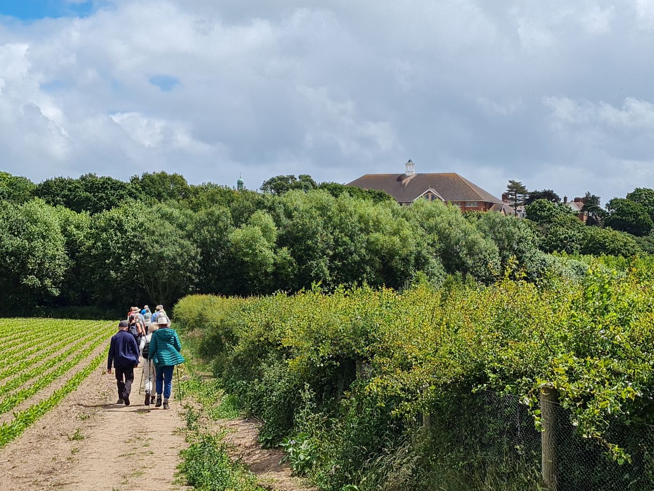 2024-06-19 20 Hen Reed Beds.jpg