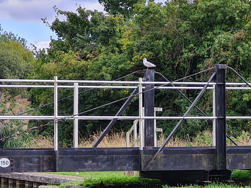 2022-09-16 12 Neil Was Based Here.jpg