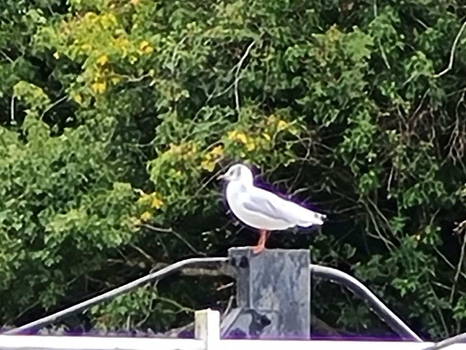 2022-09-16 13 Neil Was Based Here.jpg