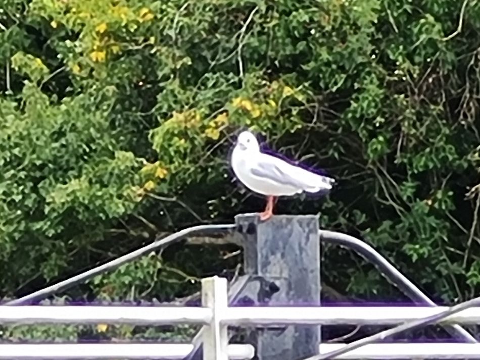 2022-09-16 14 Neil Was Based Here.jpg