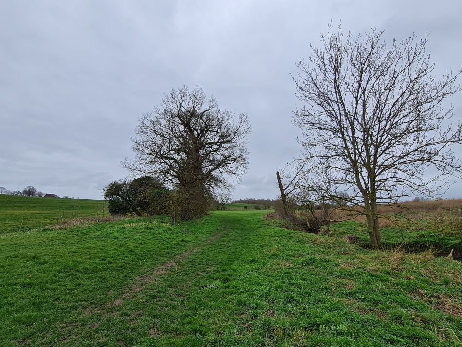 2023-03-26 05 Mettingham.jpg