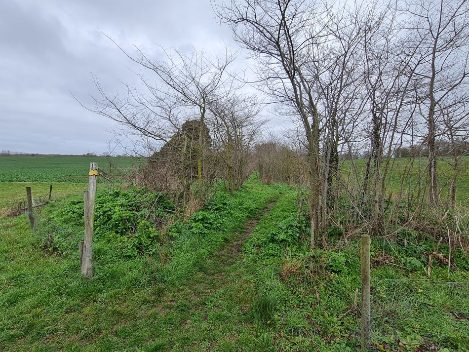 2023-03-26 06 Mettingham.jpg