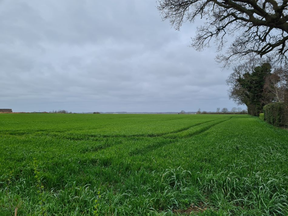 2023-03-26 10 Mettingham.jpg