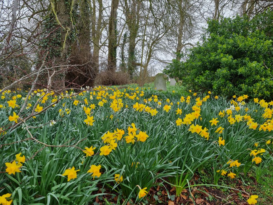 2023-03-26 22 Mettingham.jpg