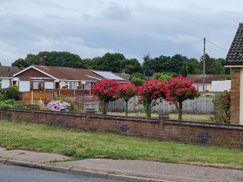 2022-06-30 06 Wensum at Lingwood.jpg