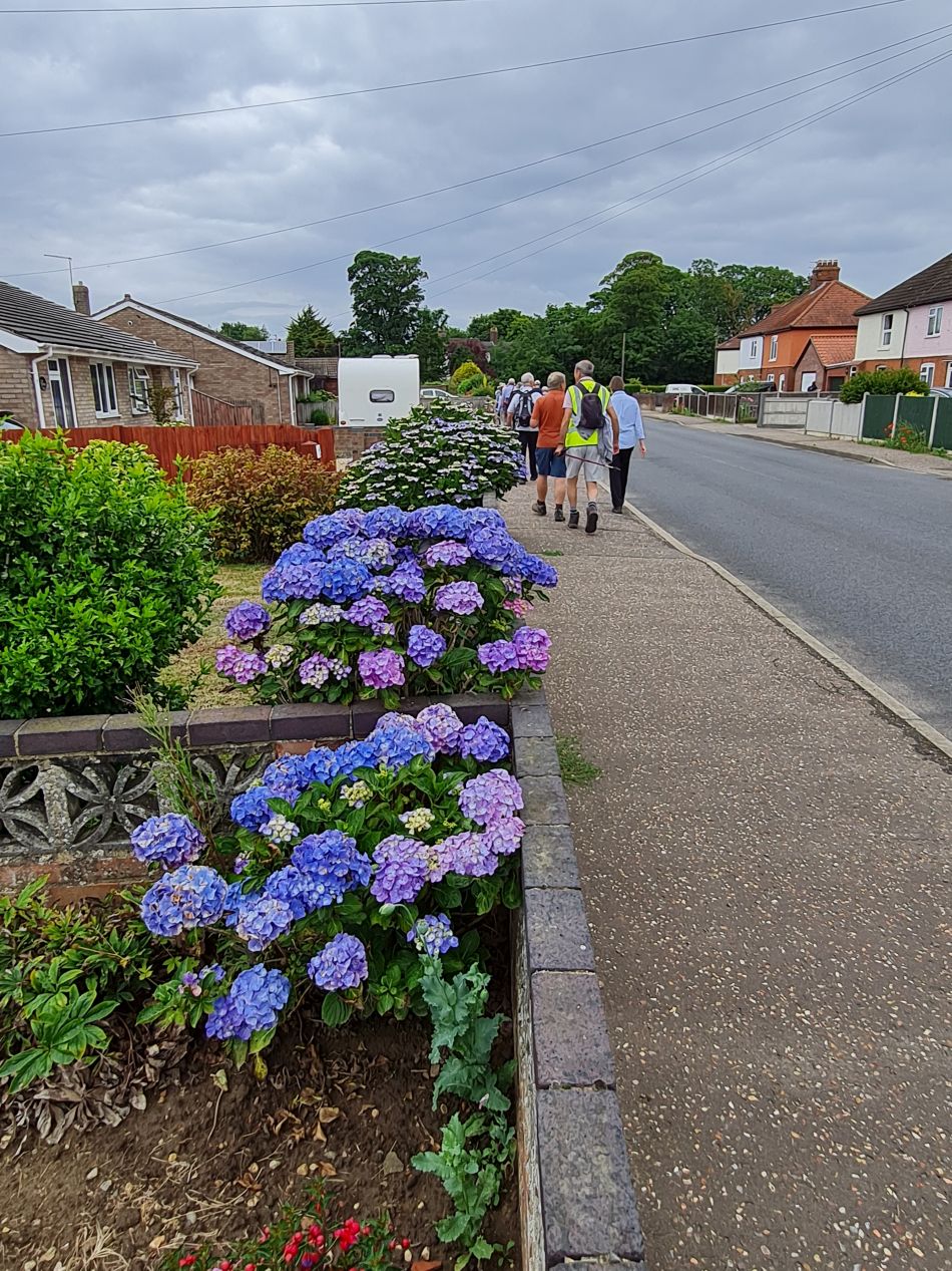 2022-06-30 07 Wensum at Lingwood.jpg